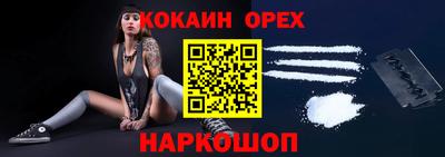 сатива Кингисепп
