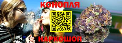 сатива Кингисепп