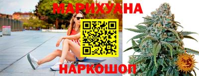 сатива Кингисепп