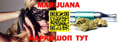 сатива Кингисепп