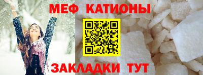 сатива Кингисепп