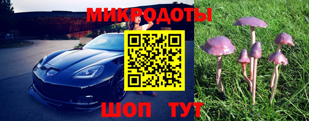 купить наркотики сайты  Галлюциногенные грибы мухоморы  Вход с VPN  Красноярск 