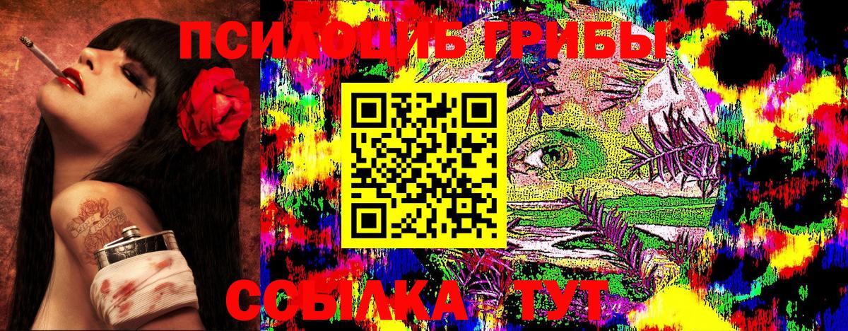 Галлюциногенные грибы GOLDEN TEACHER Красноярск
